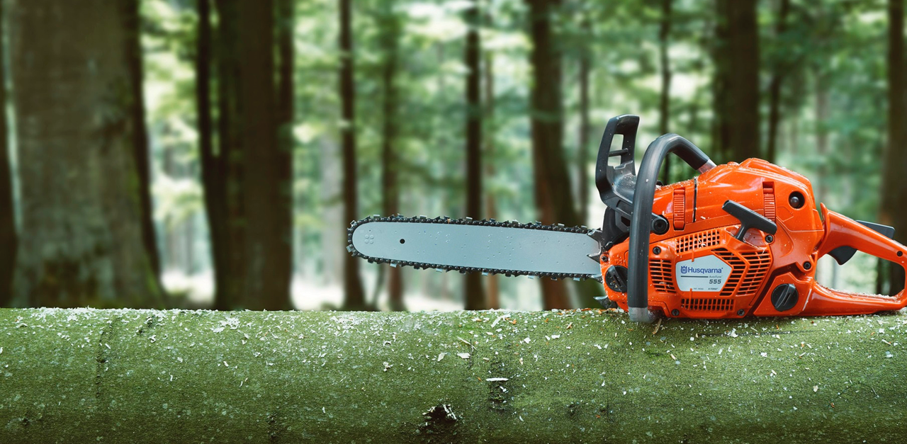 Chainsaw Versus the Pampas Grass Poem Analysis and Notes