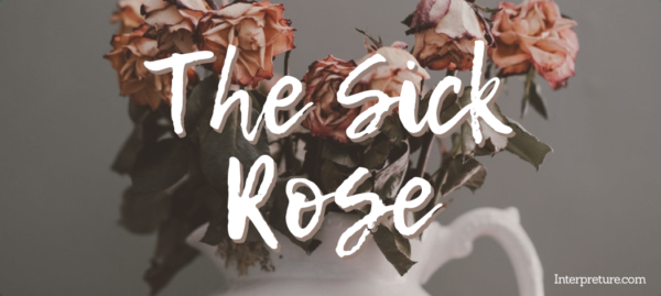 The Sick Rose - Poem Analysis
